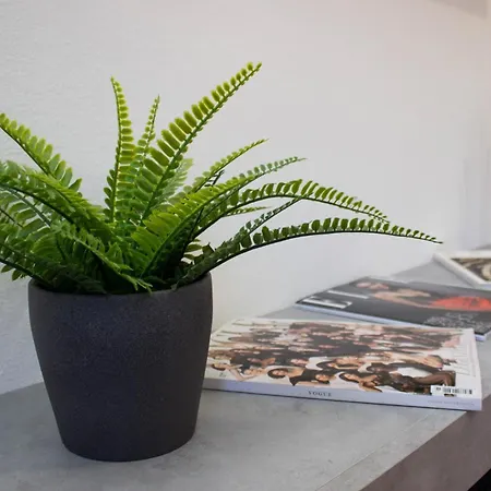 The Beautiful River * Pise